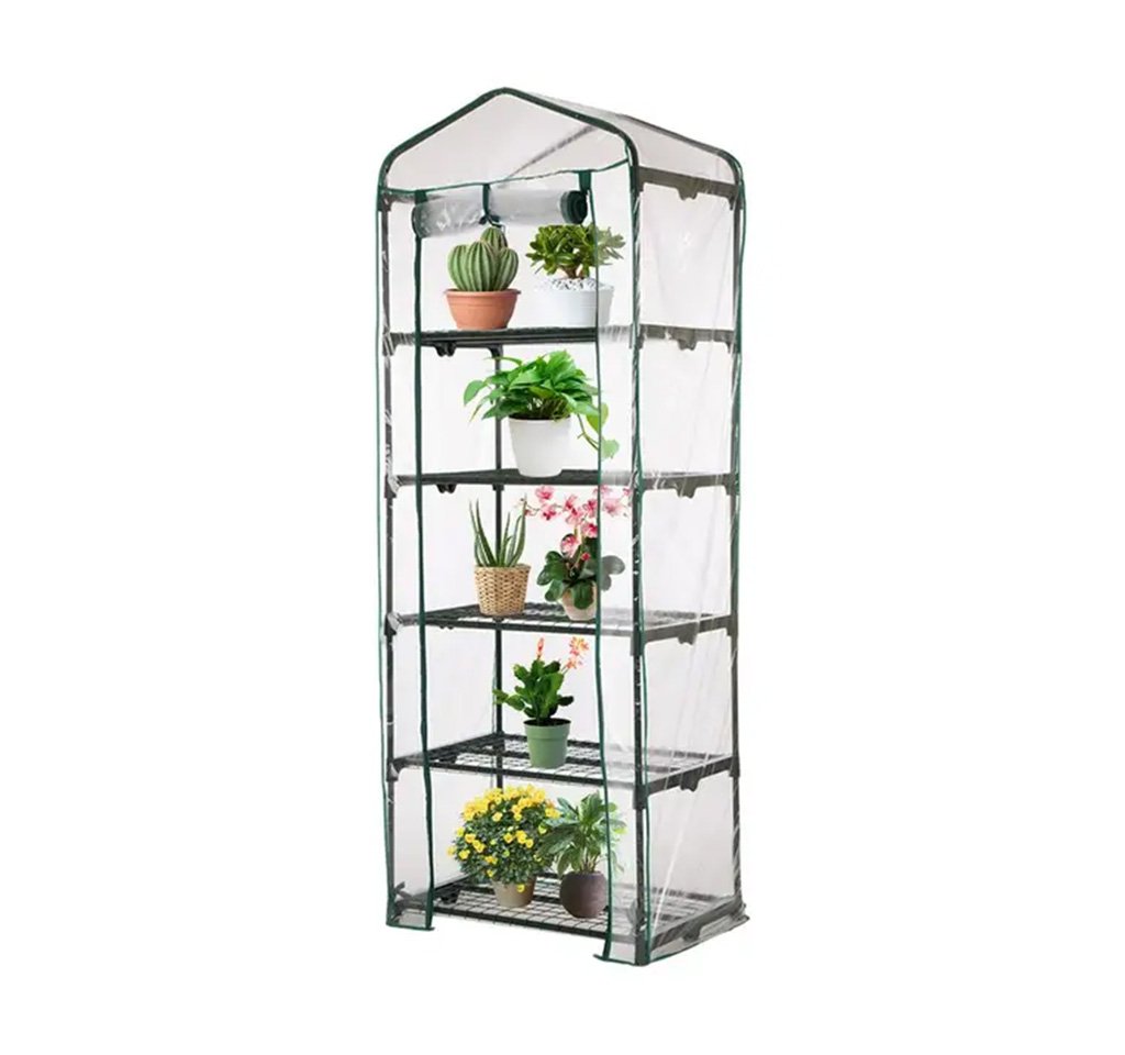 How to Choose the Best Indoor Greenhouse