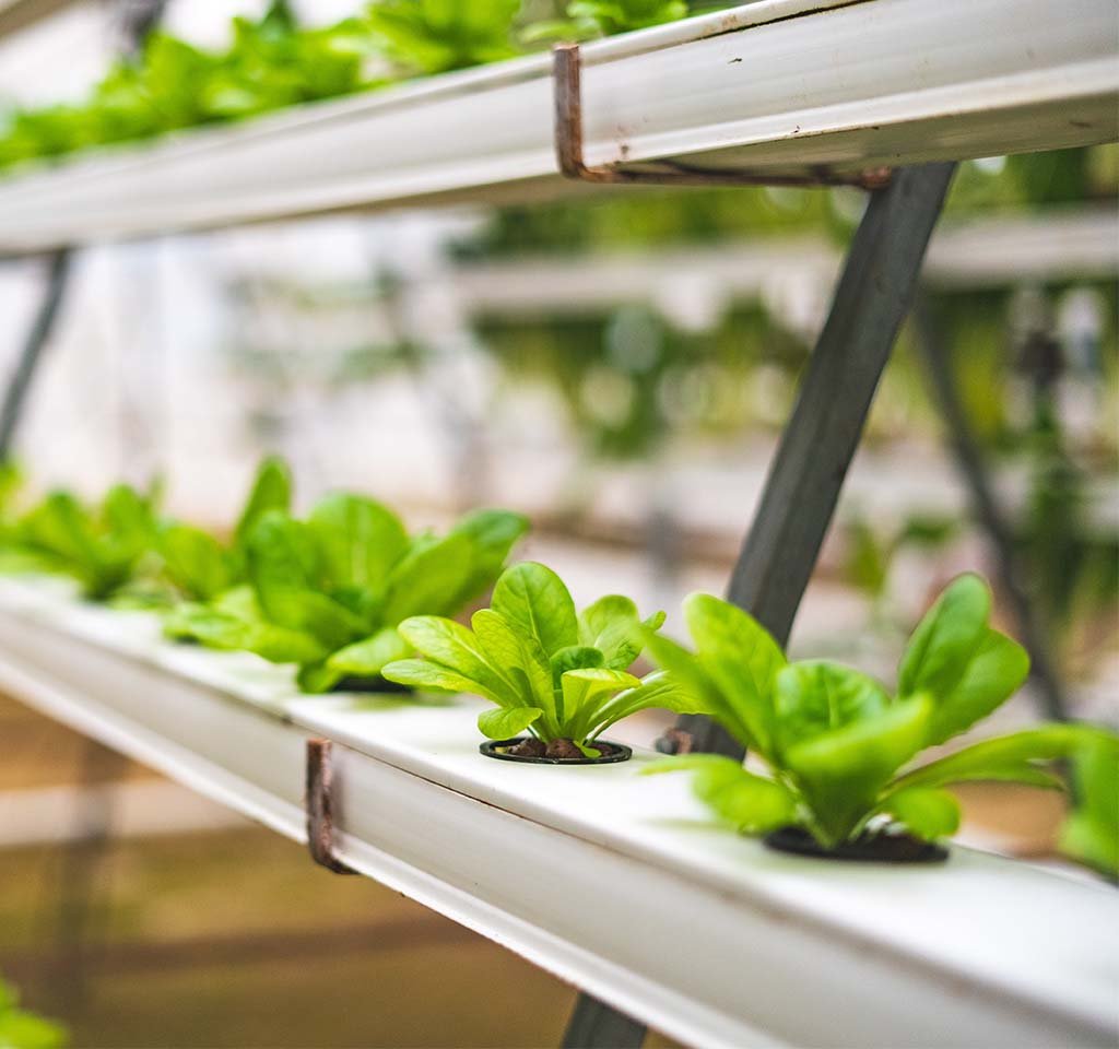 What is a Hydroponics Garden System?