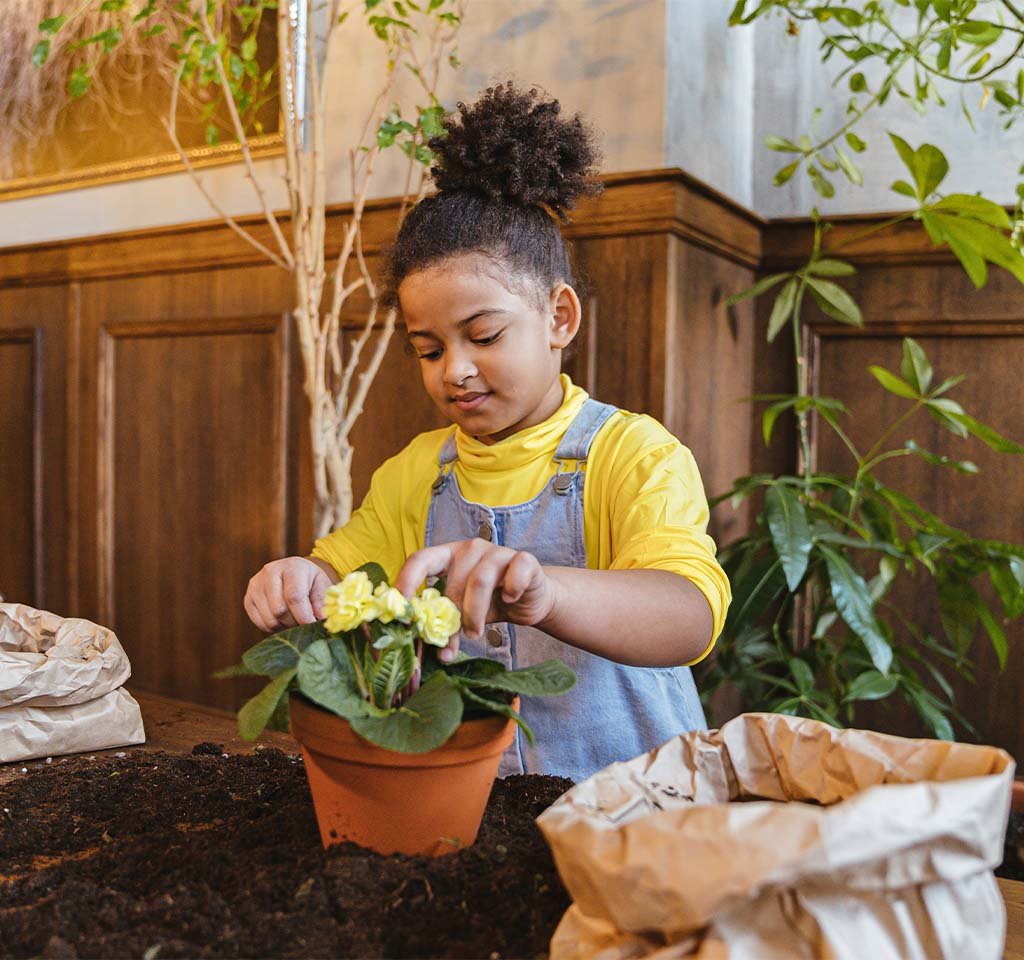 Indoor Gardening for Kids: Fun and Educational Project Ideas