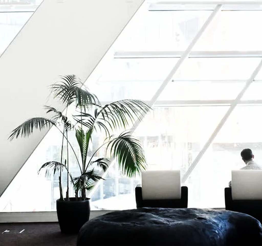 Plants in the Office and Workplaces: An Island of Nature and Tranquility