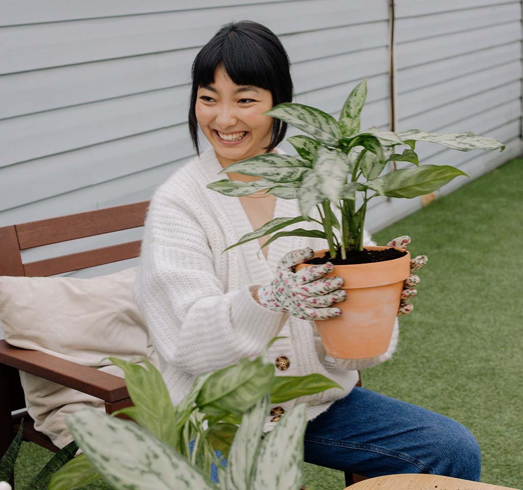 Indoor Gardening as Therapy: The Healing Power of Tending to Plants